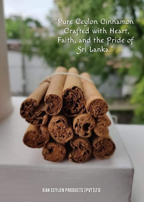 2534410b-894f-4bfd-b379-152552d716ba