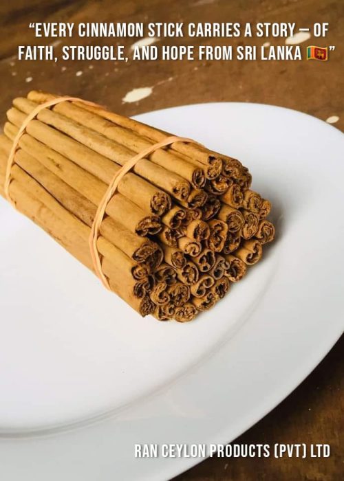 a5810f4f-6506-46b4-9e80-faaca06a102a